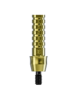 Temporary Abutment Non-Engaging CC WP 2.5mm Ø4.8