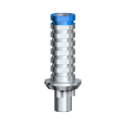 Temporary Abutment Engaging NobelReplace WP