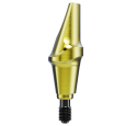 Esthetic Abutment 15° Nobel Biocare N1™ TCC RP 3 mm