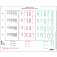 Radiographic Template NobelReplace / Replace Select Tapered