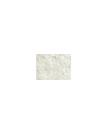 Cytoplast™ RTM Collagen Membrane 15 mm x 20 mm (2/pkg)
