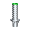 Temporary Abutment Engaging NobelReplace 6.0