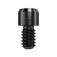 Prosthetic Screw Multi-unit Abutment Omnigrip Mini WP