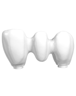 Macro Dummy NobelProcera Implant Bridge
