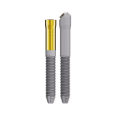 Implant Zygoma