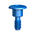 Cover Screw NobelReplace WP