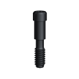 Abutment Screw NobelReplace RP/WP/6.0