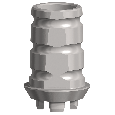 NobelPearl Temporary Abutment Inter-X RP