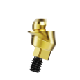 17° Multi-unit Abutment Xeal Conical Connection WP 2.5 mm