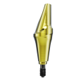 Esthetic Abutment 15° Nobel Biocare N1™ TCC NP 3 mm