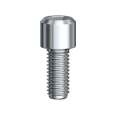 Coping Screw Hex 2 mm (4/pkg)